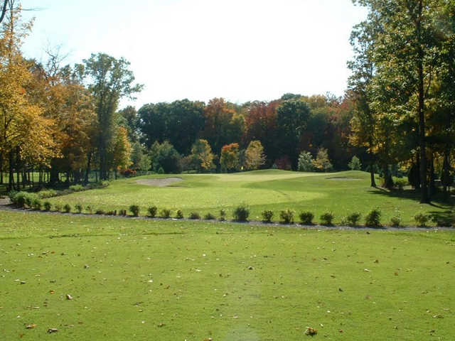 Richmond Forest - photo 3