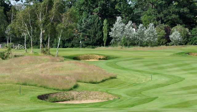 Sand Martins Golf Club - photo 8