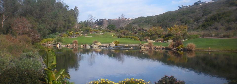 Aviara Golf Club - photo 8