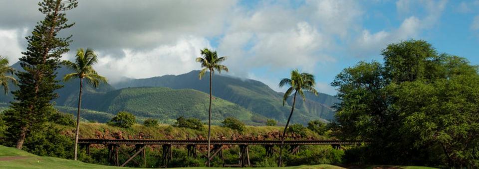 Kaanapali Kai Golf Course - photo 5