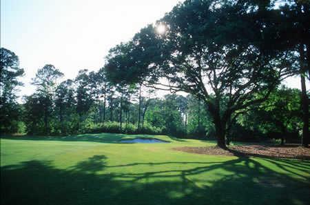 Chechessee Creek Club - photo 3