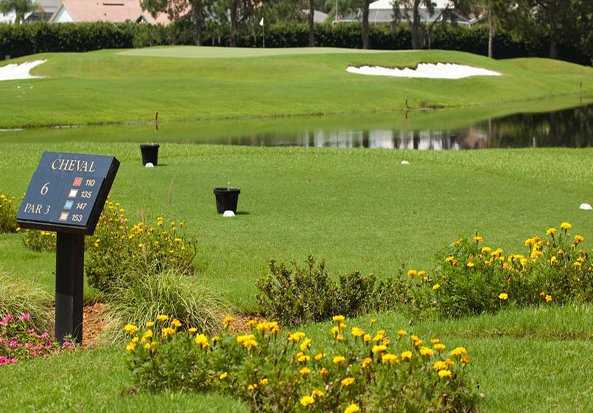 The Club at Cheval - photo 7