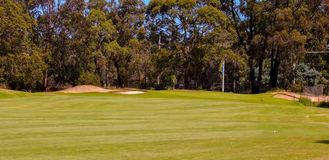 Glen Waverley Golf Course - photo 3
