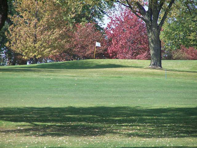 Bloomingdale Golf Club - photo 6
