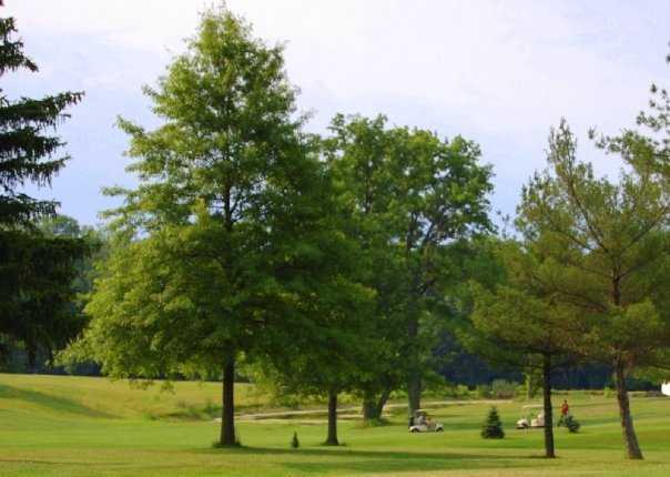 Cranberry Hills - photo 2