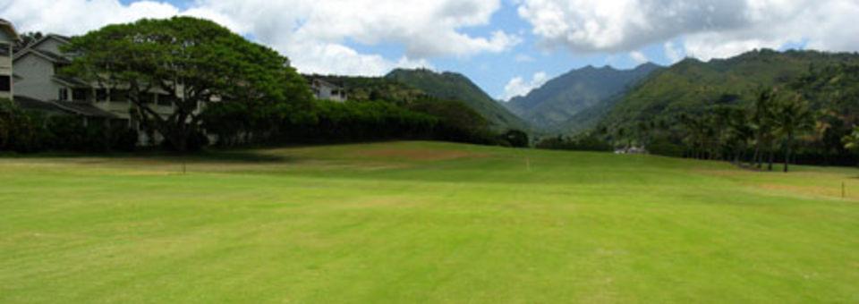 Moanalua Golf Club - photo 1