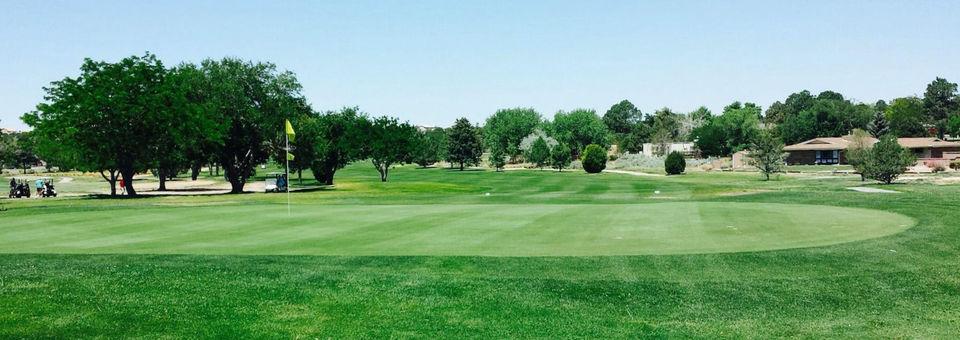 Paradise Hills Golf Course - photo 6