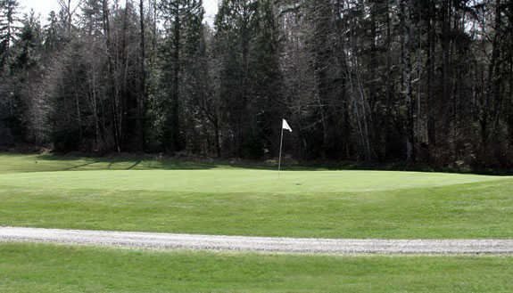 Lake Cushman - photo 4