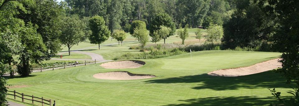 Willow Golf Course - Metropark Golf - photo 4