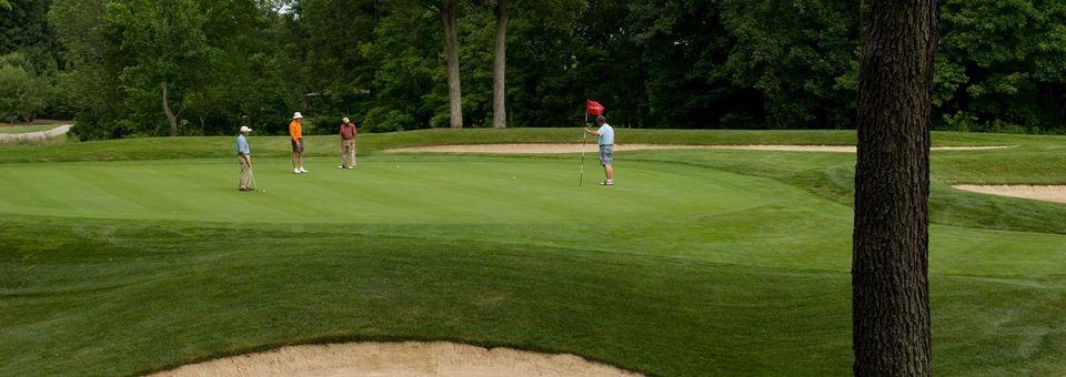 Sleepy Hollow Golf Course - photo 4