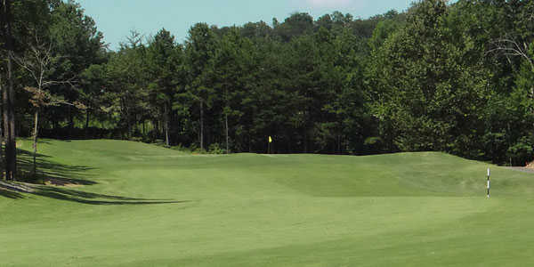 Fairways of Canton - photo 3