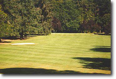 Salem Golf Club - photo 8