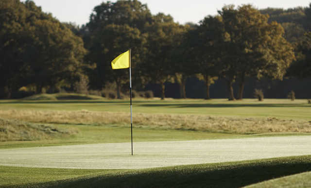 Sonning Golf Club - photo 3