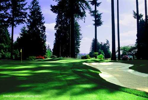 Tualatin Country Club - photo 2