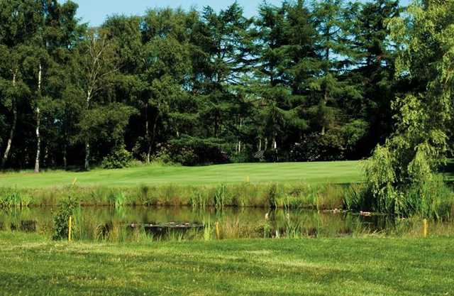 York Golf Club - photo 4