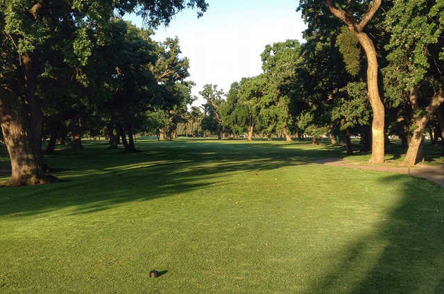 Swenson Park Golf Course - photo 2