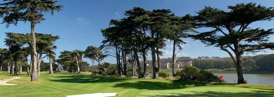 TPC Harding Park Golf Club - photo 4