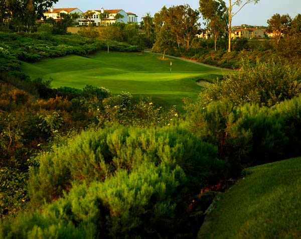 The Farms Golf Club - photo 4