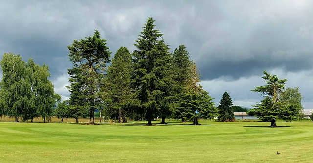 Sunset Grove Golf Club - photo 4