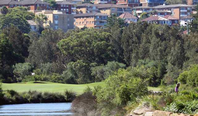 Manly Golf Club - photo 6