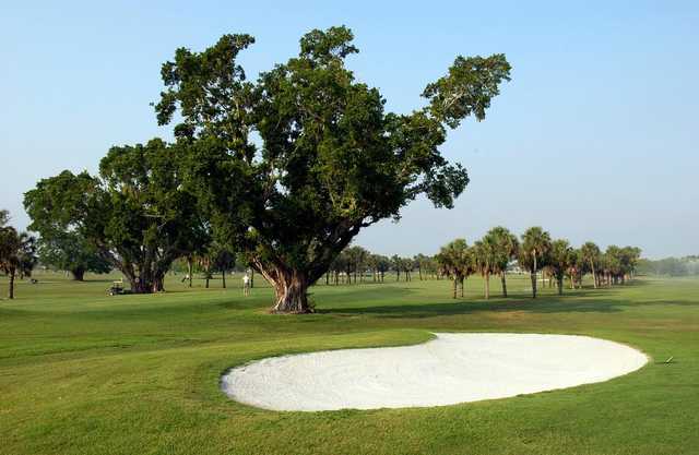 Palmetto Golf Course - photo 2