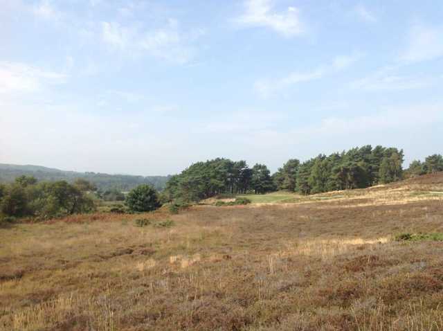Isle Of Purbeck Golf Club - photo 4