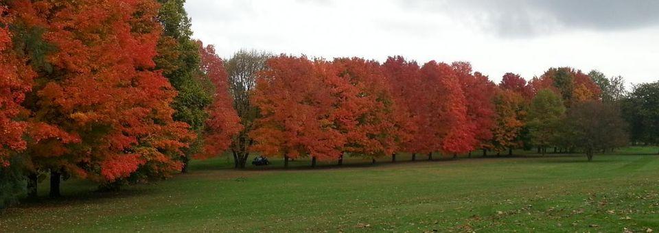 Emerald Hills Golf Club - photo 3