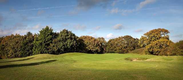 Barnham Broom Hotel - The Hill Course - photo 4