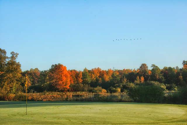 Crosswoods Golf Course - photo 6
