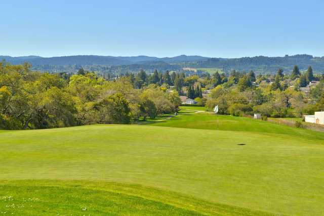 Tayman Park Golf Course - photo 3