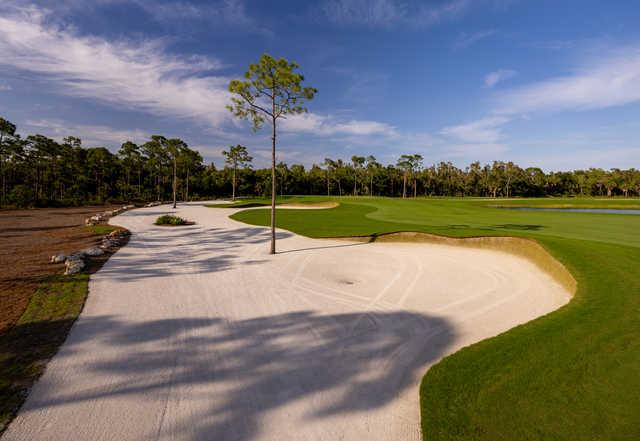 Saltleaf Golf Preserve - The Preserve (18 Hole Championship Course) - photo 3