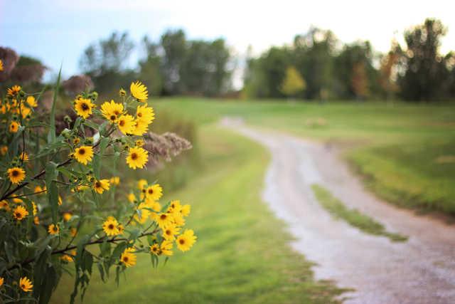 Country Drive Golf Course - photo 5