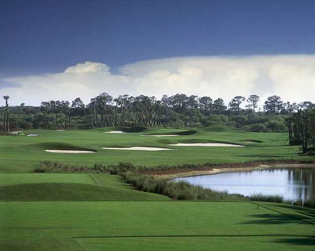 The Golf Club At Fiddler's Creek - photo 2