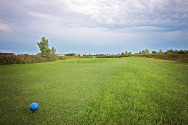 Country Drive Golf Course - photo 2