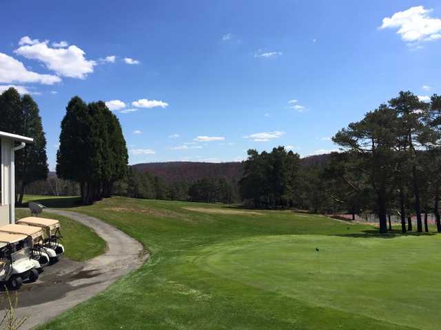 Vestal Hills Country Club - photo 3