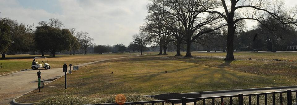 Webb Memorial Golf Course - photo 5
