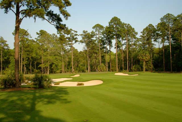 May River Golf Club At Palmetto Bluff - photo 6