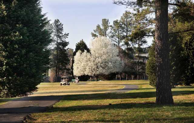 Hillandale Golf Course - photo 2