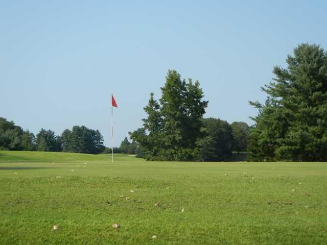 Ironwood