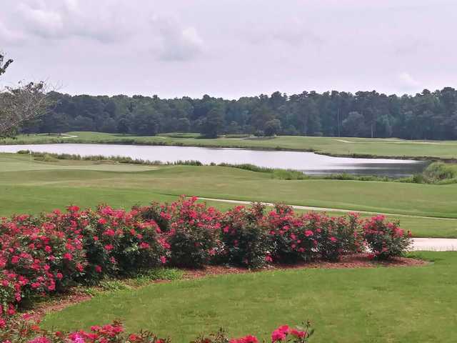 Virginia Beach - photo 3