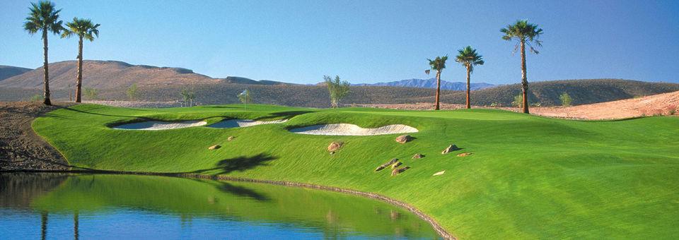 Bear's Best Las Vegas - photo 5