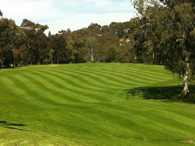 Yarra Bend Golf Club - photo 8