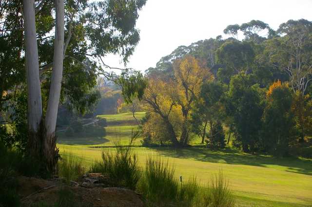 Mount Lofty Golf Club - photo 4
