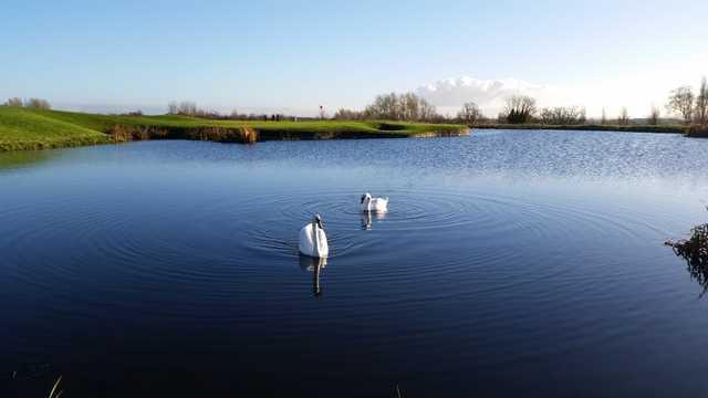 The Manor 9 Hole Golf Course - photo 6