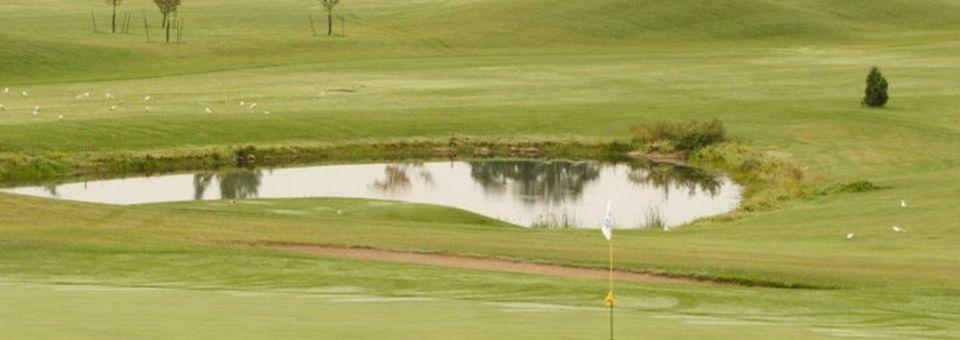 Fanshawe Golf Course - Traditional - photo 3