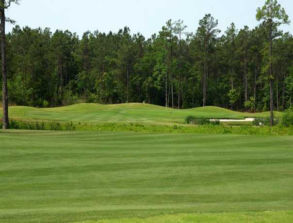 Diamondback Golf Course - photo 2