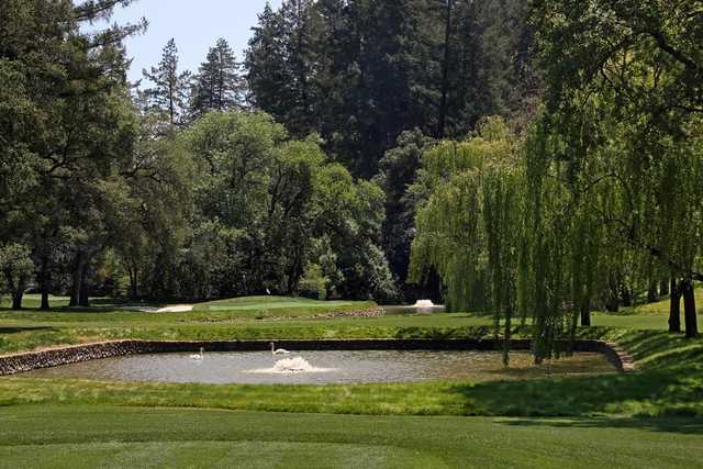 Meadowood Resort - photo 6