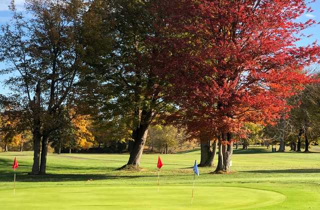 Village Green Golf Course - photo 3