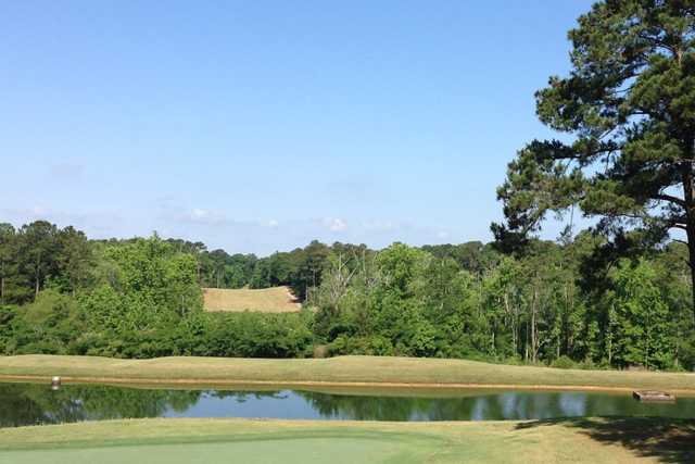 The Bridges at Tartan Pines - photo 7