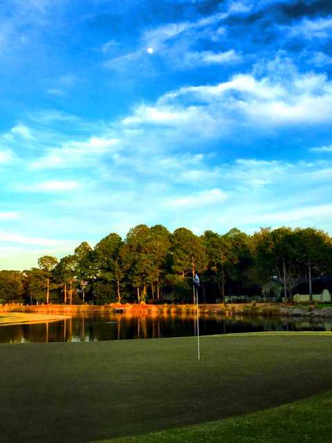 Sandestin - Raven Golf Club - photo 3